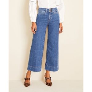 Ann Taylor Wide Leg Jeans